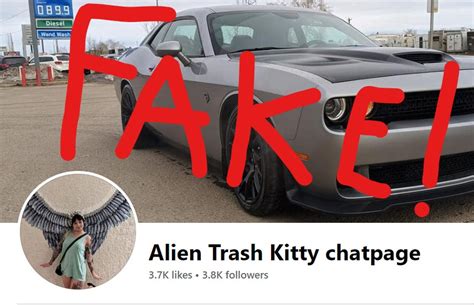 alien trash kitty leaked|AlienTrashKitty 37 Leaked Files